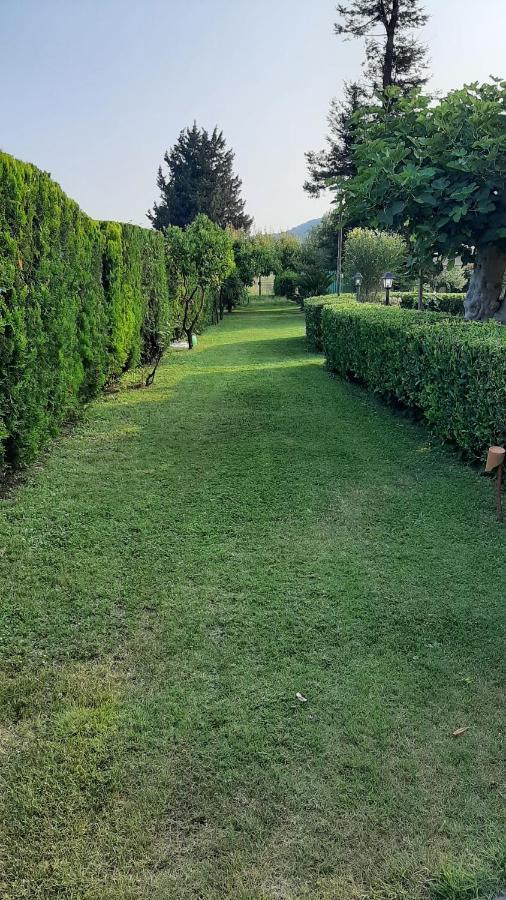 Bed and Breakfast Casale Battaglini Castelnuovo Cilento Esterno foto